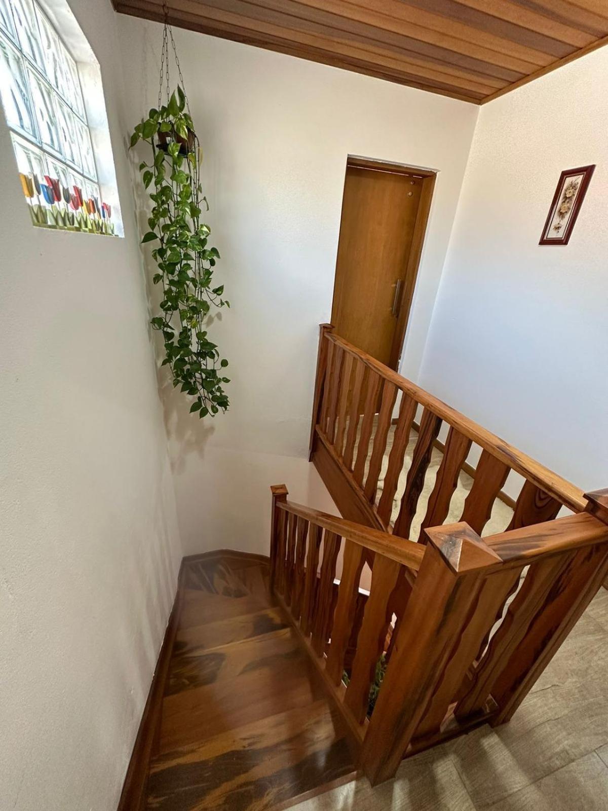 Raio De Sol Na Montanha Villa Campos do Jordão Екстериор снимка